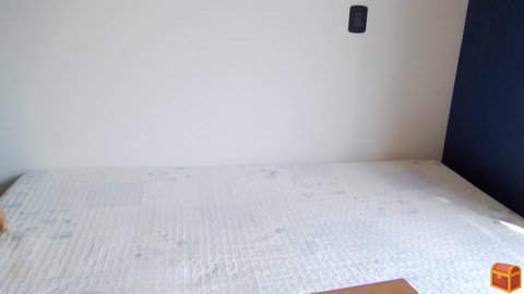 letiziafulkers1  06-01-2023